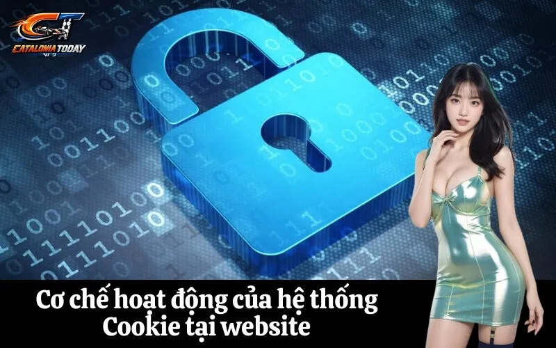 Cơ chế hoạt động của hệ thống Cookie tại website